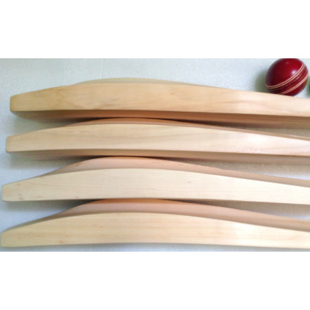 Custom Made English Willow Cricket Bat with Cover | ARMORSHOPUSA