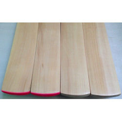 Custom Made English Willow Cricket Bat with Cover | ARMORSHOPUSA